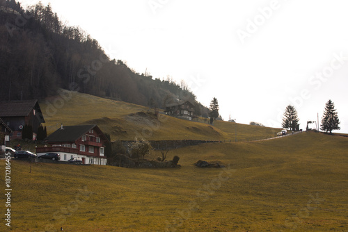 Scenic view of traditional ...