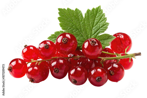 Cluster of vibrant red currants with fresh green leaf