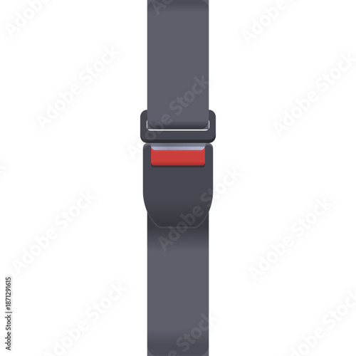 Seatbelt with Red Accent