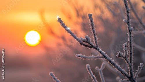 霧氷が輝くオレンジ色の朝焼け