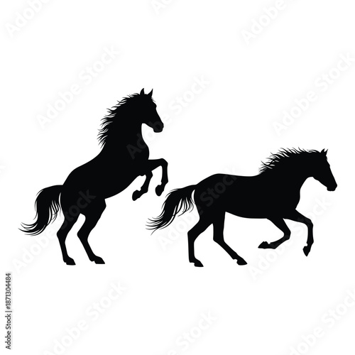Two majestic horses silhouetted in a dynamic powerful running pose