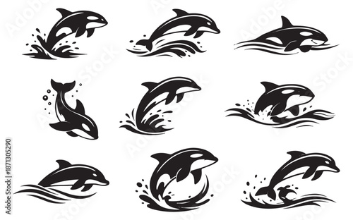 Stylized cetaceans set featuring jumping dolphins and killer whales splashing in water for aquatic designs