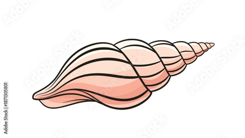 Beautiful illustration of a spiral seashell rendered with soft pink colors and dark curved stripes to highlight its natural elegant shape.