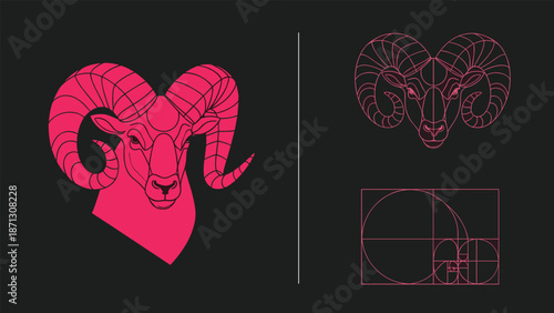 Geometric construction of a pink ram head on a dark background showing circles and lines based on the golden ratio.