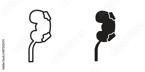 Kidney disease icons for web design set in black stroke and solid style. EPS10