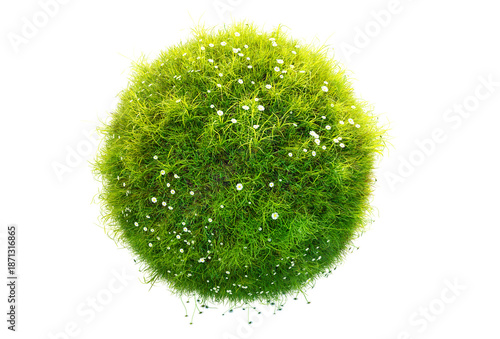 green grass planet isolated on transparent background, Conceptual 3D rendering resembling a miniature grassy planet with flowers