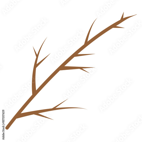 Single Bare Twig Branch