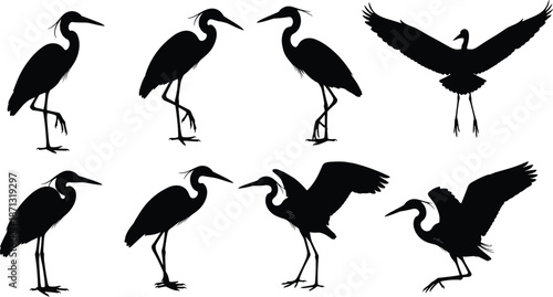 Heron silhouette vector set, black crane birds in various poses, standing and flying egret shapes for nature patterns, wetland wildlife icons