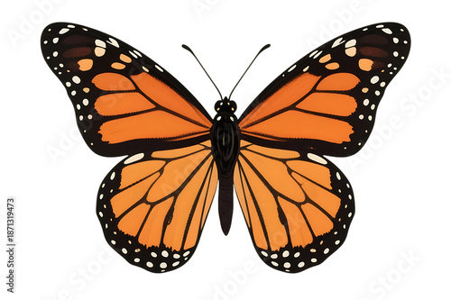 Monarch butterfly with orange wings on transparent background