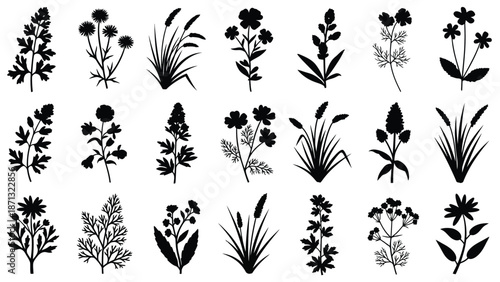 A collection of diverse floral arrangements presented in a dark silhouette