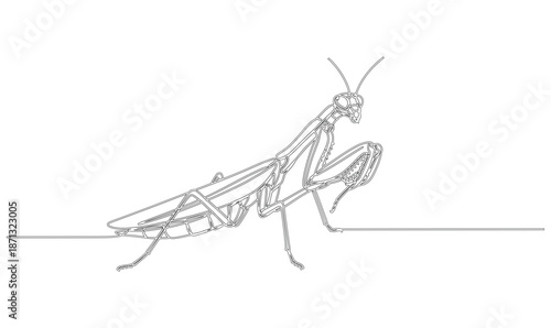 Praying mantises or sentadu grasshoppers are an order (Mantodea) of insects_26