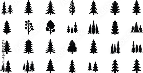Collection  black silhouette pine and fir trees on black pine tree evergreen