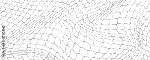 Black snake skin pattern isolated on white background eps 10