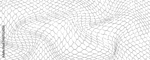 Black snake skin pattern isolated on white background eps 10