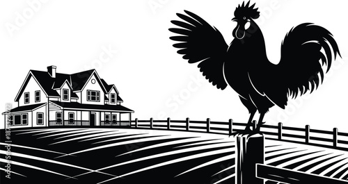 Farm scene illustration, rooster on fence, rural house, black and white art, crowing bird, nature vector, countryside design, stylized drawing, morning theme, decorative graphic
