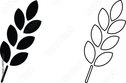 Black and white wheat stalk grain food