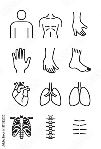 Black and white line of human body parts and organs