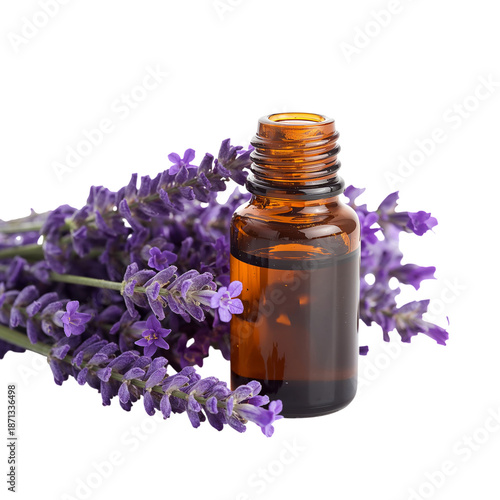 Lavender Flowers Next to a Small Bottle on a White Background in a Simple Arr...