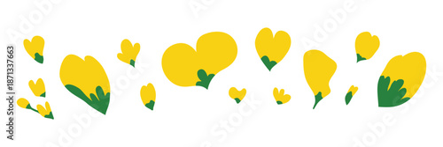 Hand drawn rapeseed flowers isolated on white background. Blooming canola plants.
