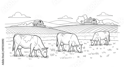 Coloring page illustration of three dairy cows grazing in a peaceful farm field with barns and rolling hills in the back.