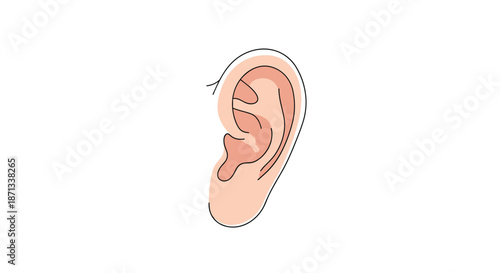 Detailed anatomical illustration of a human ear in side view, showing the complex outer ear structure, cartilage, and folds in a flat style.