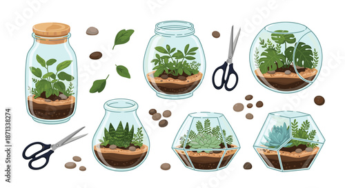 Vibrant collection of glass terrariums in multiple shapes containing various indoor plants, accompanied by gardening tools and pebbles.