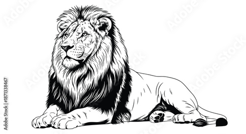 Magnificent lion lying down in resting pose captured in highly detailed black and white line art illustration.