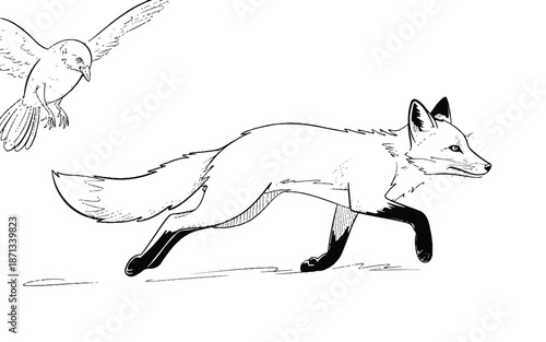 Black and white illustration of a running fox and flying bird