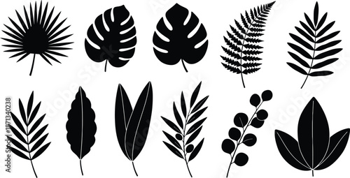 A collection of tropical leaves in black andshowcasing various shapes, silhouettes nature in graphic design
