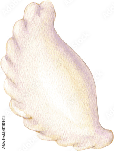 Professional watercolor vector illustration of a traditional handmade dumpling (pierogi). Detailed hand-painted texture with soft shadows, isolated on white. Perfect for restaurant menus and recipes.