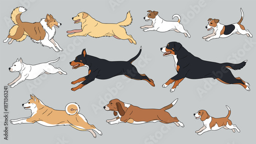Various dog breeds including collie golden retriever jack russell and rottweiler running fast in a group on a grey horizontal background.