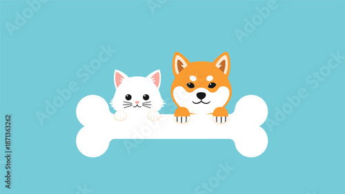 Cute white kitten and orange shiba inu dog peeking over a large white bone against a solid bright blue background for pet friendship.