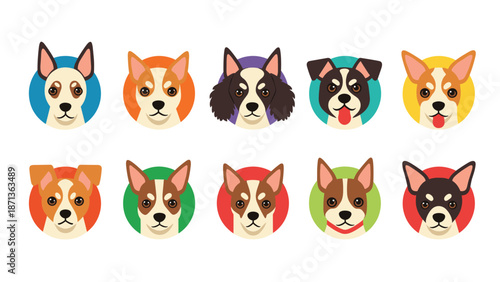 Set of various chihuahua and small dog breed heads in colorful circles for pet-related logos branding or social media avatars.