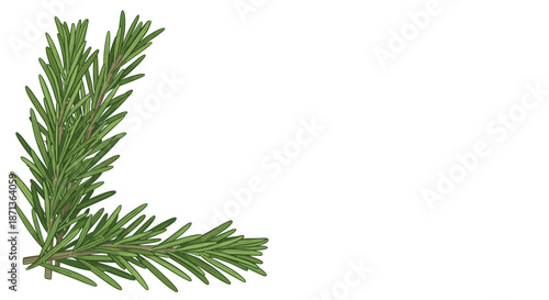 Two fresh green rosemary sprigs positioned to form an L-shaped corner border on a clean and white background.