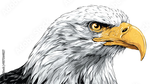 Detailed Eagle Cartoon Vector Illustration with White Background for Graphic Design Projects