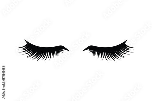 Eyelashes silhouette icon vector art illustration