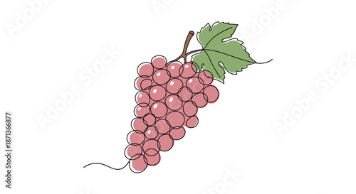 Bunch of red grapes with a single green leaf depicted in a minimalist continuous line drawing style for wine, food, and harvest themes.