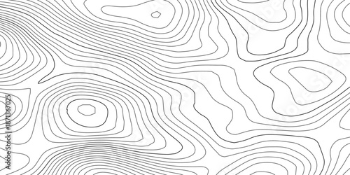 Minimal black and white topographic contour line pattern featuring flowing organic curves, abstract terrain elevation with wavy wood grain inspired lines in a modern map style design on transparent. 