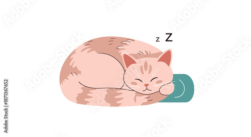 Cute ginger tabby cat curled up and sleeping peacefully on a teal cushion with Z letter symbols representing deep rest.