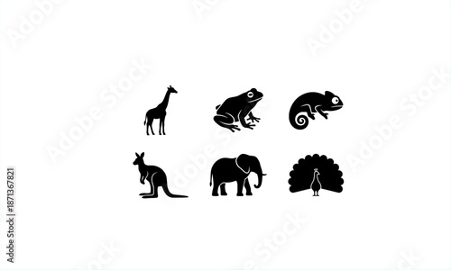 Set of black animal silhouettes including giraffe, frog, chameleon, kangaroo, elephant, and peacock. Minimal flat icon collection isolated on white background.