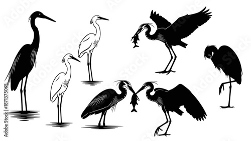 A collection of herons and egrets in various poses and silhouettes
