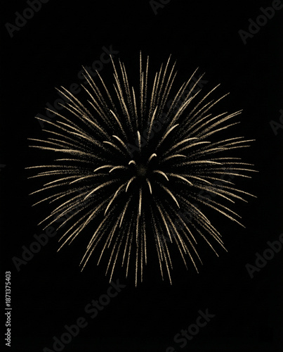 Wallpaper Mural gold fireworks exploding in night sky Torontodigital.ca