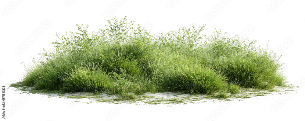 Fototapeta premium Lush green grass clump, full frame