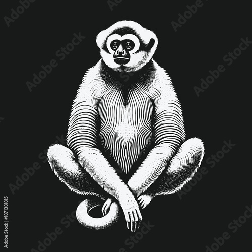 Detailed Illustration of a White Gibbon Monkey in Seated Pose.