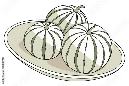 Green Line Onion Bulb with Roots and Sprouting Leaves Cross Section