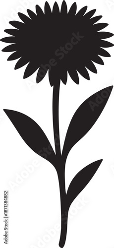 Detailed vector illustration of a colorful aster flower or floral pattern