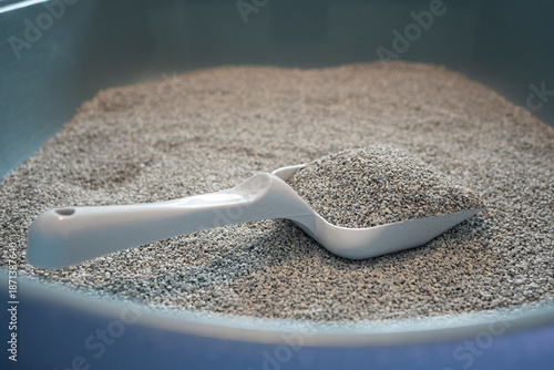 Fresh Scented Cat Litter for Hygiene and Cleanliness