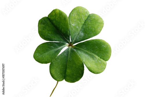 Close-up of a four-leaf clover, vibrant green with detailed leaf structure, isolated on black background
