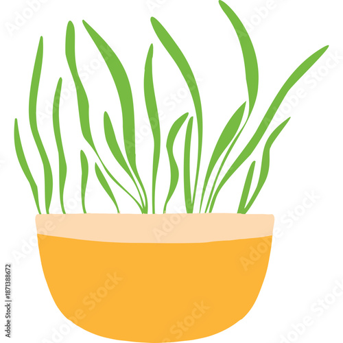 Sprouting Grass in a Pot