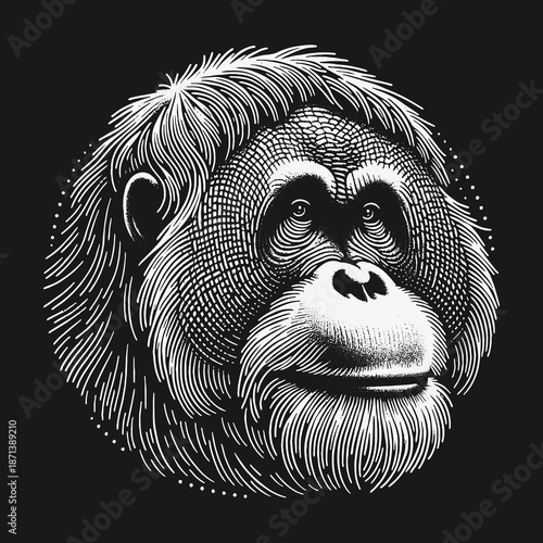 Intricate Engraving of an Orangutans Face with Detailed Fur.